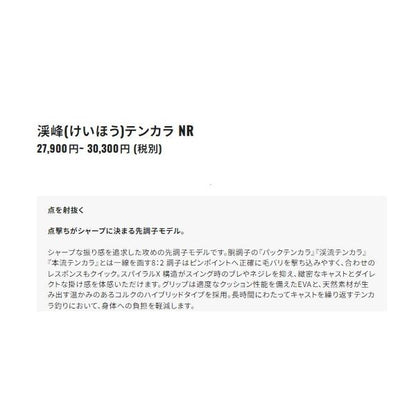 渓峰テンカラ 33NR シマノ