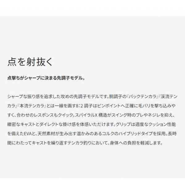 渓峰テンカラ 33NR シマノ