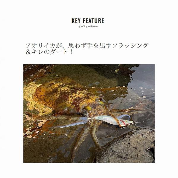 セフィアクリンチフラッシュブースト3.5号 QE-X35U Fキンアジ 005 シマノ限定セール 秋の大感謝祭