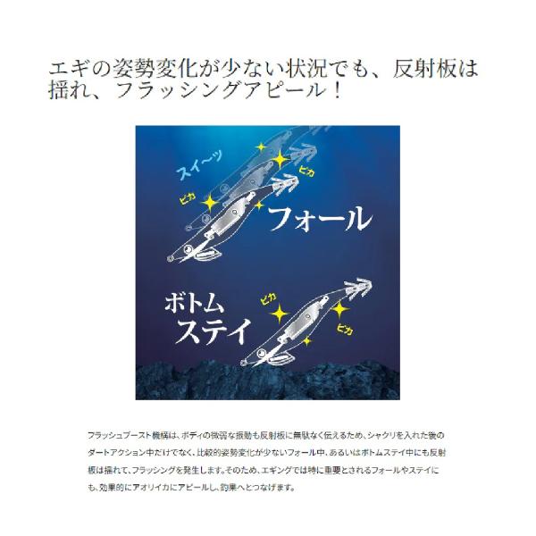 セフィアクリンチフラッシュブースト3.5号 QE-X35U Fキンアジ 005 シマノ限定セール 秋の大感謝祭