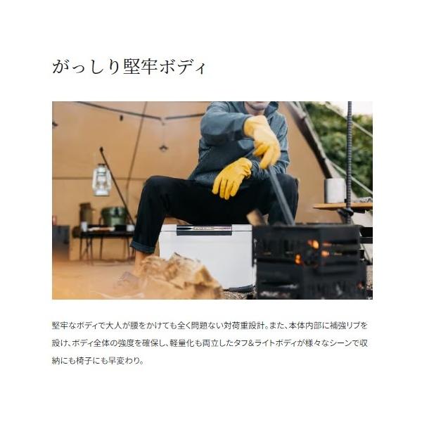 フィクセル ベイシス 30LNF－330V 白 シマノ