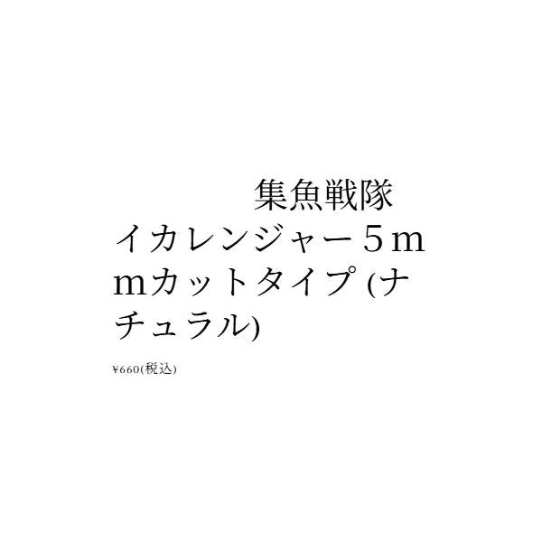イカレンジャー (ナチュラル) しいの食品