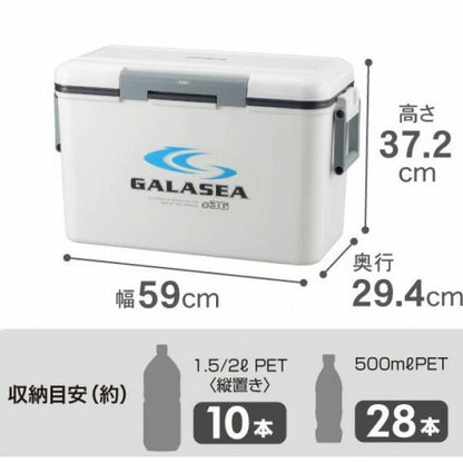 ギャラシー 36 ＷH 伸和