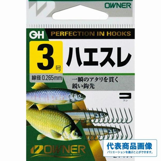 OHハエスレ オーナー