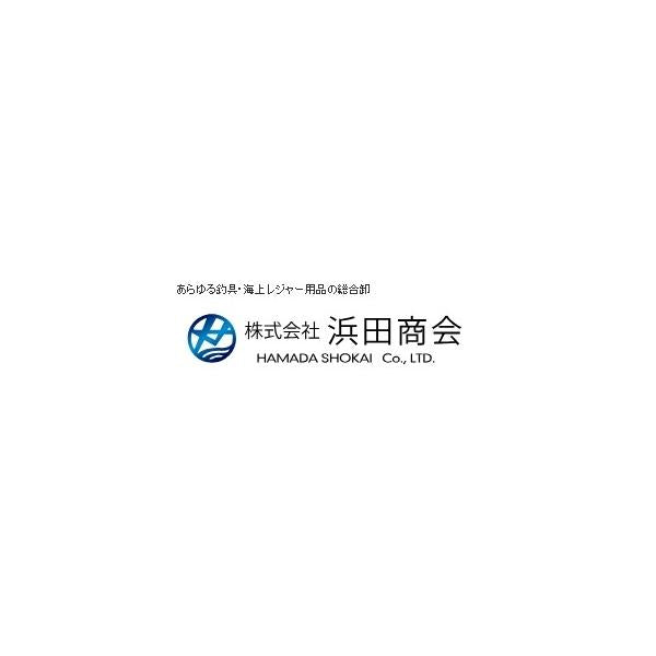 PG レディアスサビキ270 浜田商会