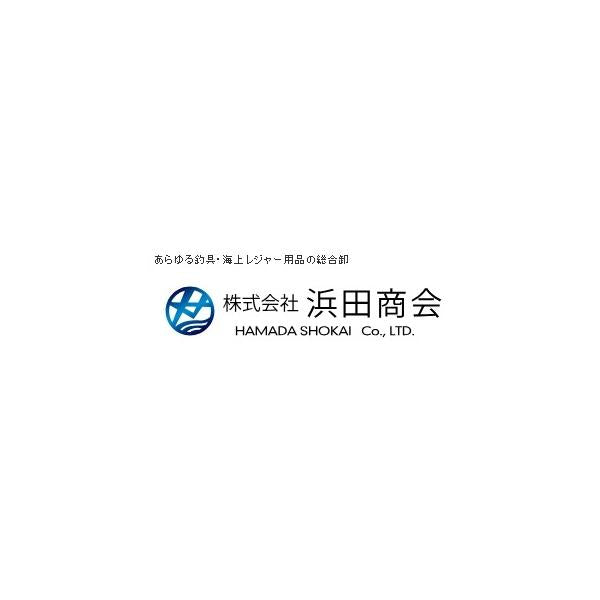 CB ブルーべイ磯遠投 3-530 浜田商会