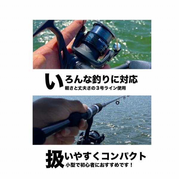 オールラウンドスピニング東海BK 3号100M付 東海オリジナル 秋の大感謝祭