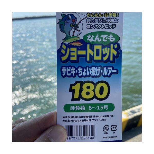 PGなんでもショートロッド 東海ブルー180 東海オリジナル 秋の大感謝祭