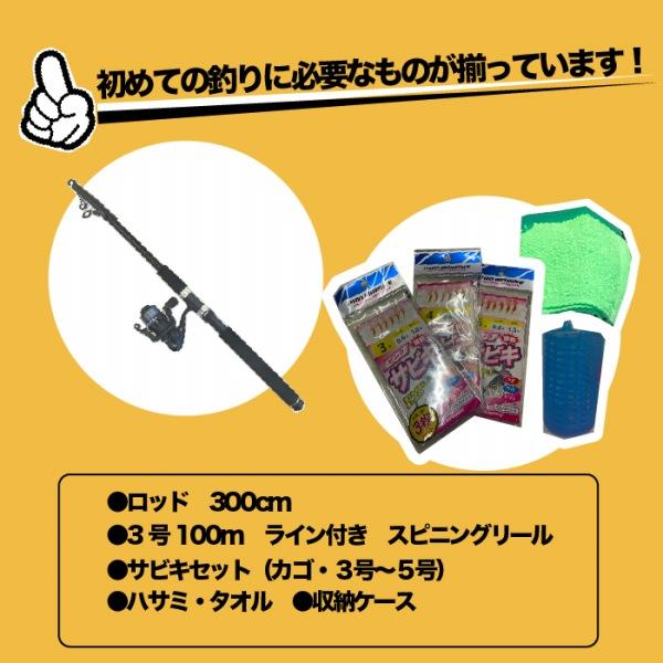 PG入門サビキセット300 東海オリジナル