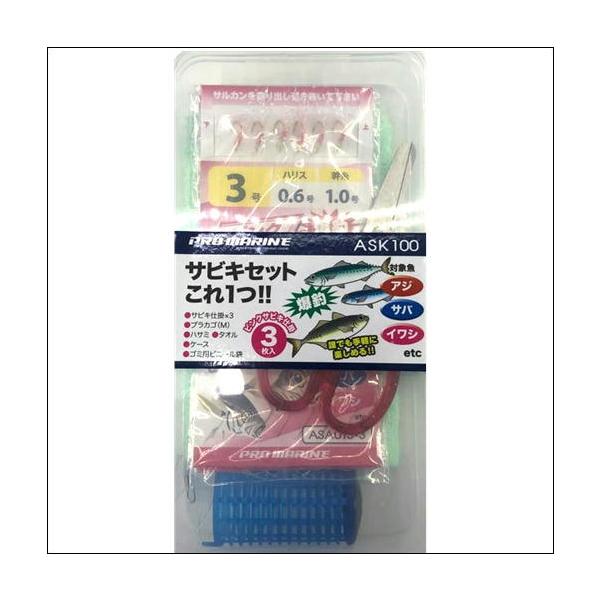 PG入門サビキセット300 東海オリジナル