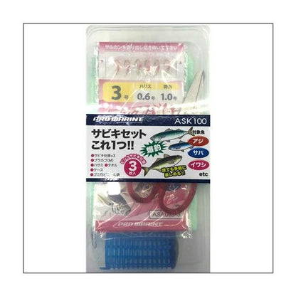 PG入門サビキセット300 東海オリジナル