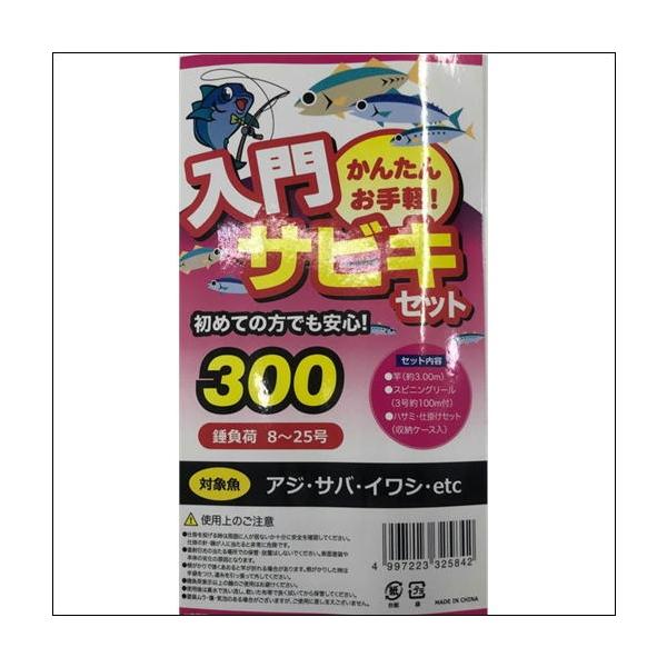 PG入門サビキセット300 東海オリジナル