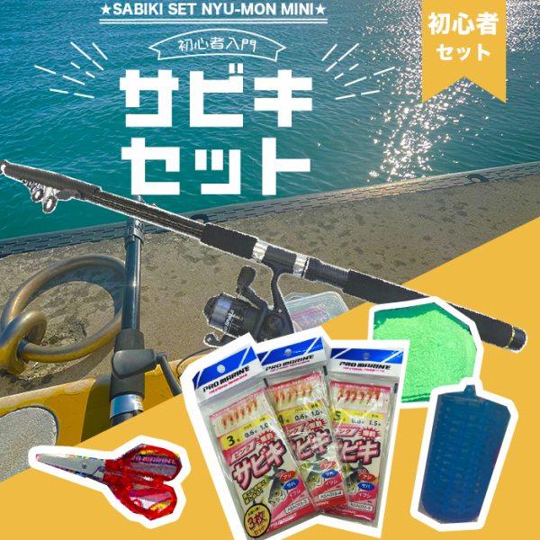 PG入門サビキセット300 東海オリジナル