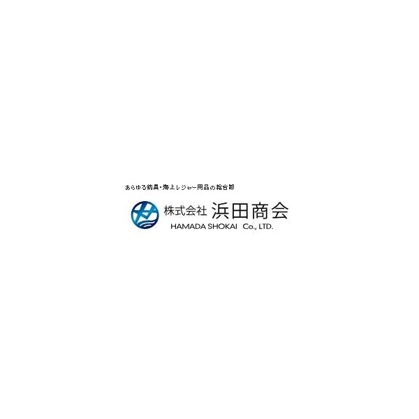 PG ミニコンパクトサビキ釣リセットDX 165 浜田商会