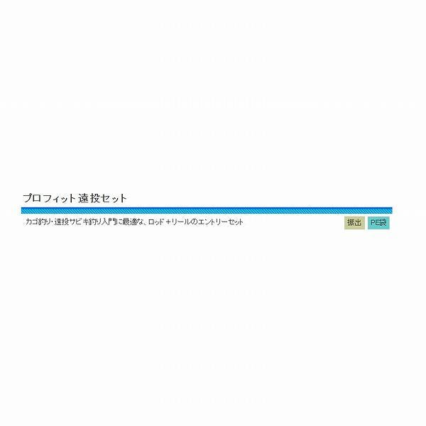 CB プロフィット遠投セット 3-450 （GGS4000） 浜田商会