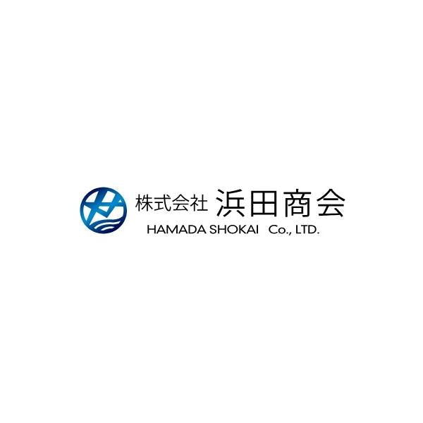 PLT205 ハイブリッドCOBヘッドランプ 浜田商会