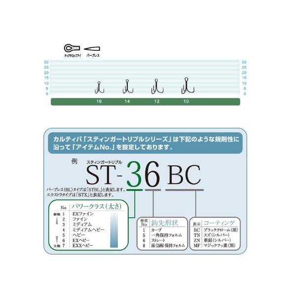 STBL－1.56 カルティバ 秋の大感謝祭