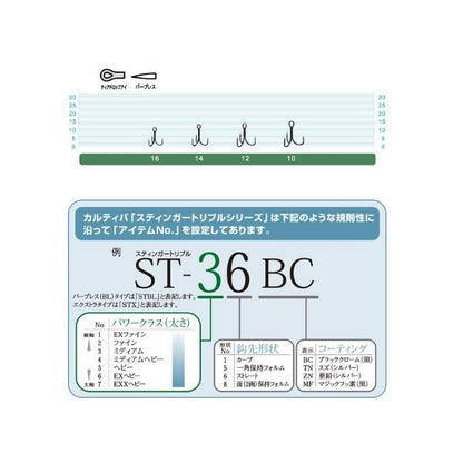 STBL－1.56 カルティバ 秋の大感謝祭