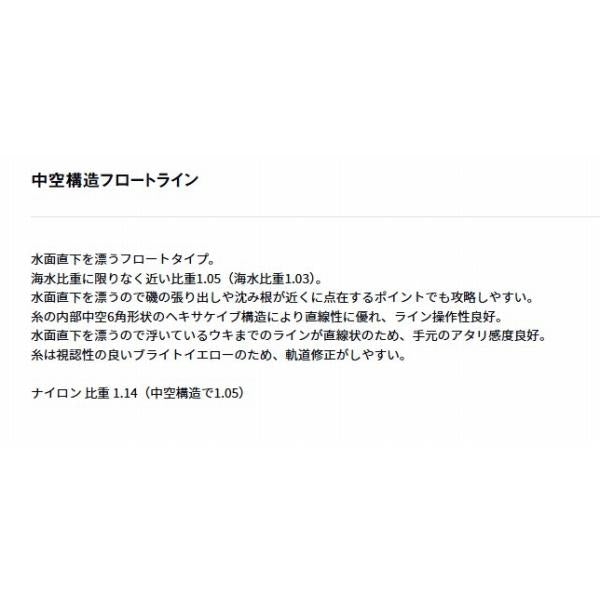 アストロン磯 TYPE-FLOAT III ダイワ 秋の大感謝祭
