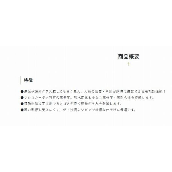 よく見えるフロロ天糸 サンライン