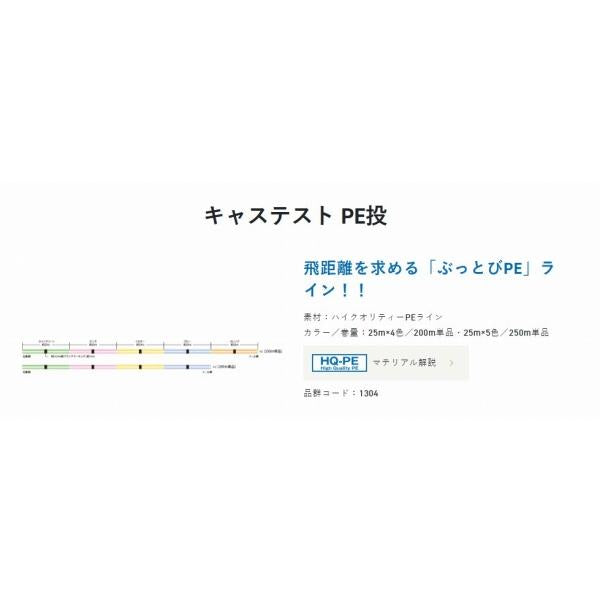 PE投げ 200m サンライン限定セール 秋の大感謝祭