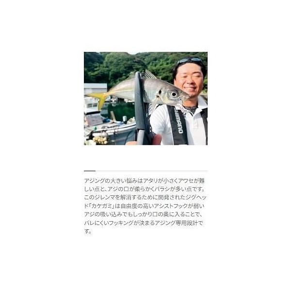 JK-206Tソアレ カケガミ ノーマル シマノ 秋の大感謝祭