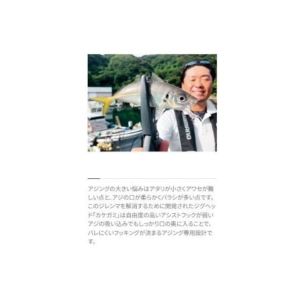 JK-206Tソアレ カケガミ ノーマル シマノ 秋の大感謝祭