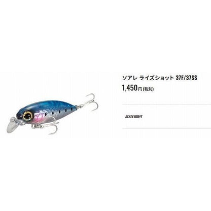 ライズショット 37F OＭ－137R シマノ 秋の大感謝祭