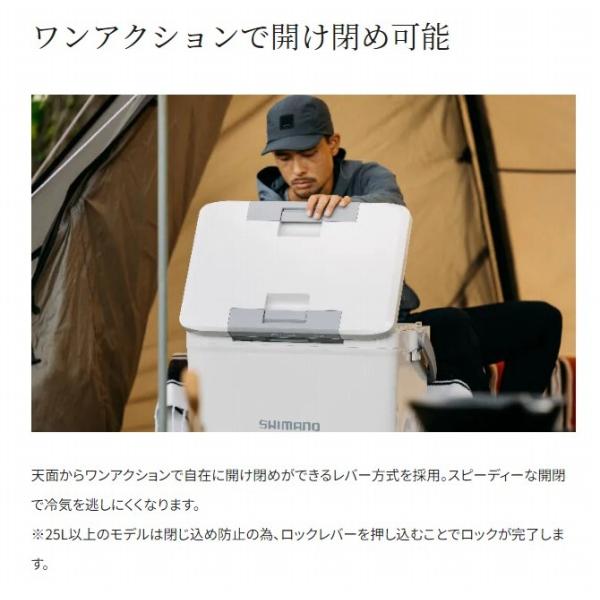 フィクセル ライト 30LNF－430V シマノ 春の大感謝祭