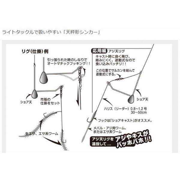 SG-21 ショア天 デコイ