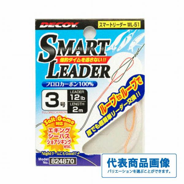 DECOＹ WL－51 スマートリーダー デコイ 釣り人応援セール