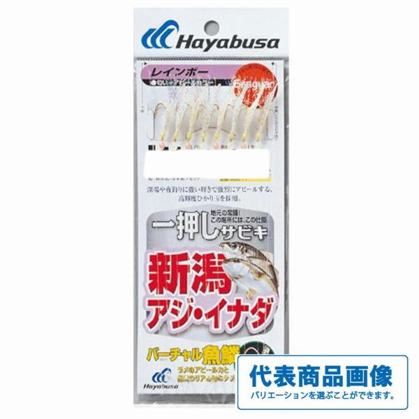 ハヤブサ 新潟アジイナダ レインボー ハヤブサ 継続SALE 秋の大感謝祭