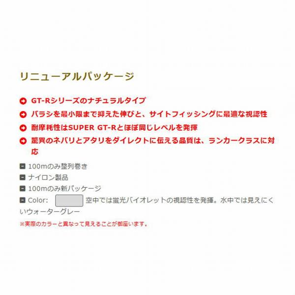 APPLAUD GT-R Nスペック リミテッド 100m アプロード 秋の大感謝祭