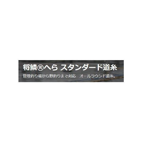 将鱗へらスタンダード道糸 東レ 秋の大感謝祭