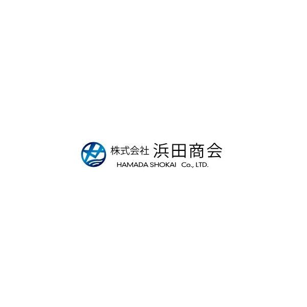 AGＭ012ダブルインター付ハイパースイベル徳用 浜田商会 秋の大感謝祭