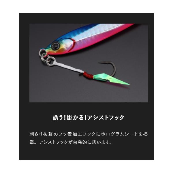 ビッグバッカージグ 30g ジャッカル