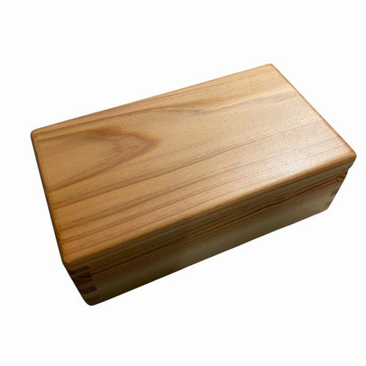 篭定エサ箱 大 2室 【【A】超美品