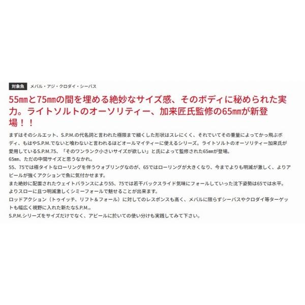 S.P.M.65 バスデイ