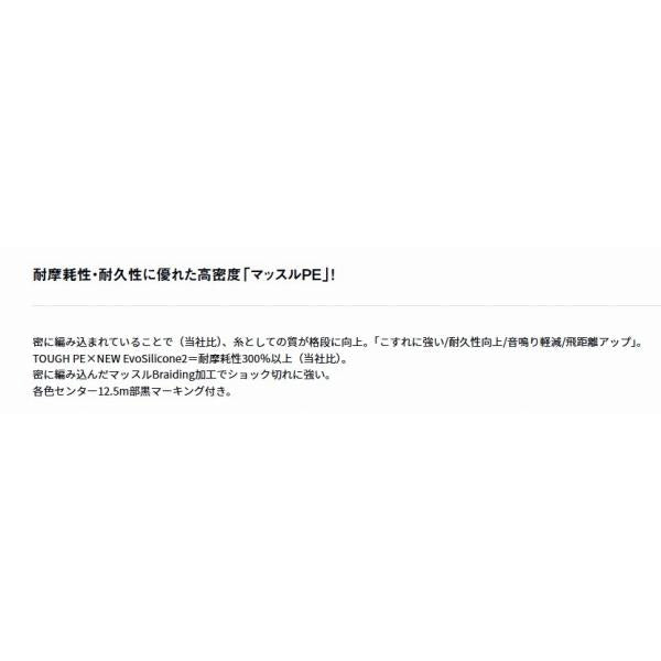 UVFサーフデュラセンサー×8＋Sｉ2 ダイワ 継続SALE 秋の大感謝祭