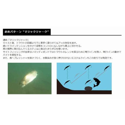 スティルエリア スミス 秋の大感謝祭