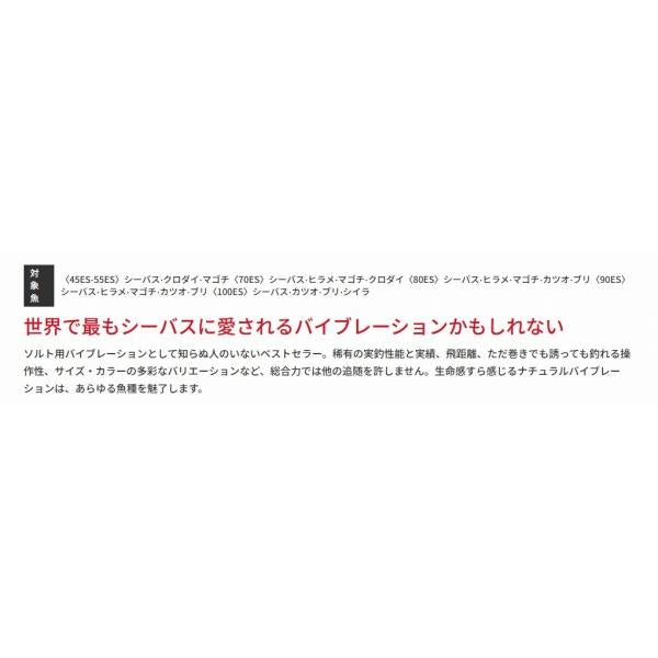 レンジバイブ 55ES バスデイ 継続セール