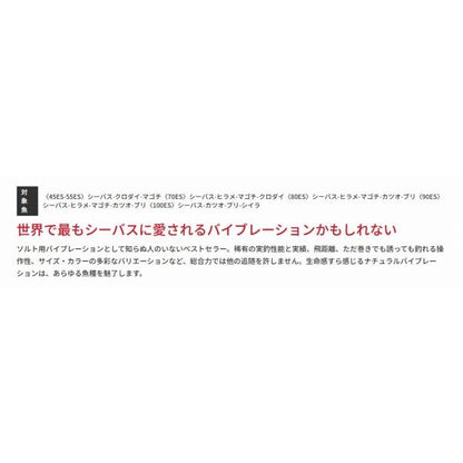 レンジバイブ 55ES バスデイ 継続セール