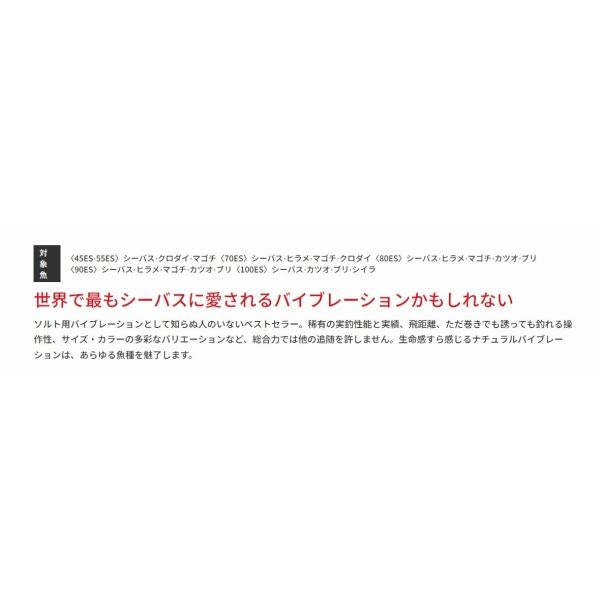 レンジバイブ 55ES バスデイ 継続セール