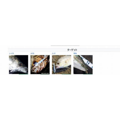 THローリングベイト77 タックルハウス
