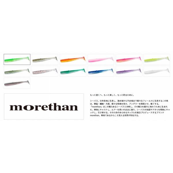 モアザン ミドルアッパーシャッド2.5 ダイワ