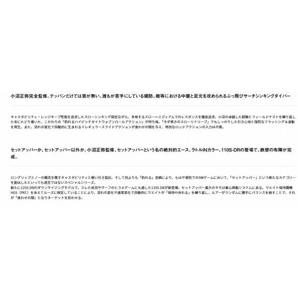ショアラインシャイナーZ セットアッパー75SDR ダイワ