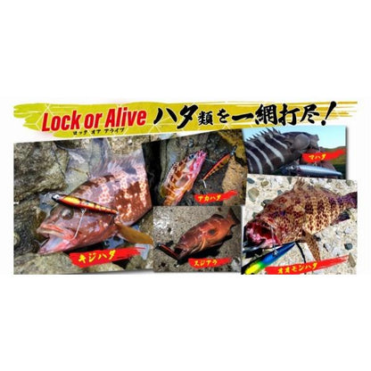魚極ペン85 18g RUDIE’S