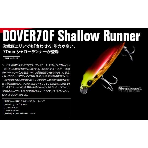 ドーバー70Fシャローランナー アピア 秋の大感謝祭