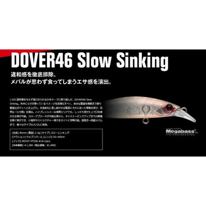 ドーバー46スローシンキング アピア 秋の大感謝祭