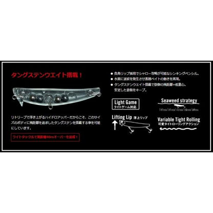 ハイドロアッパー55S アピア 秋の大感謝祭